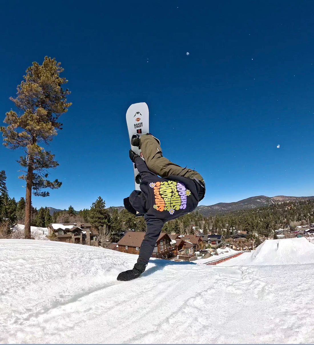 Mushrooms & Daisies Hoodie (Black)