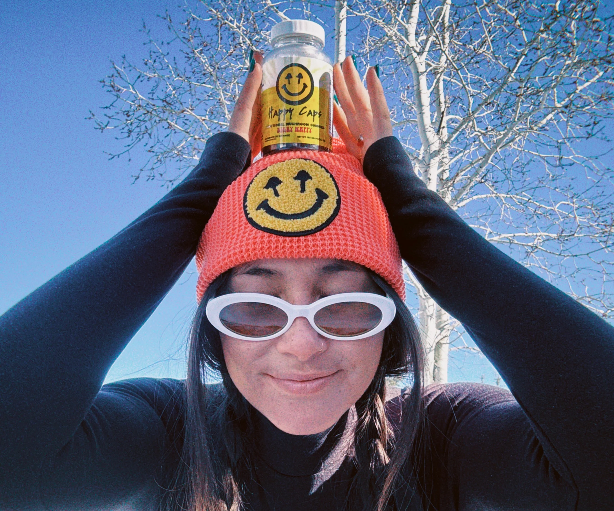 Functional Mushrooms